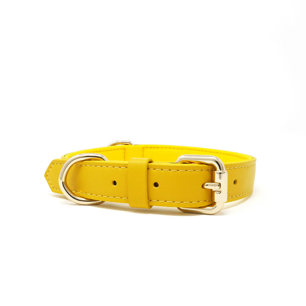 Collar - Forest Green